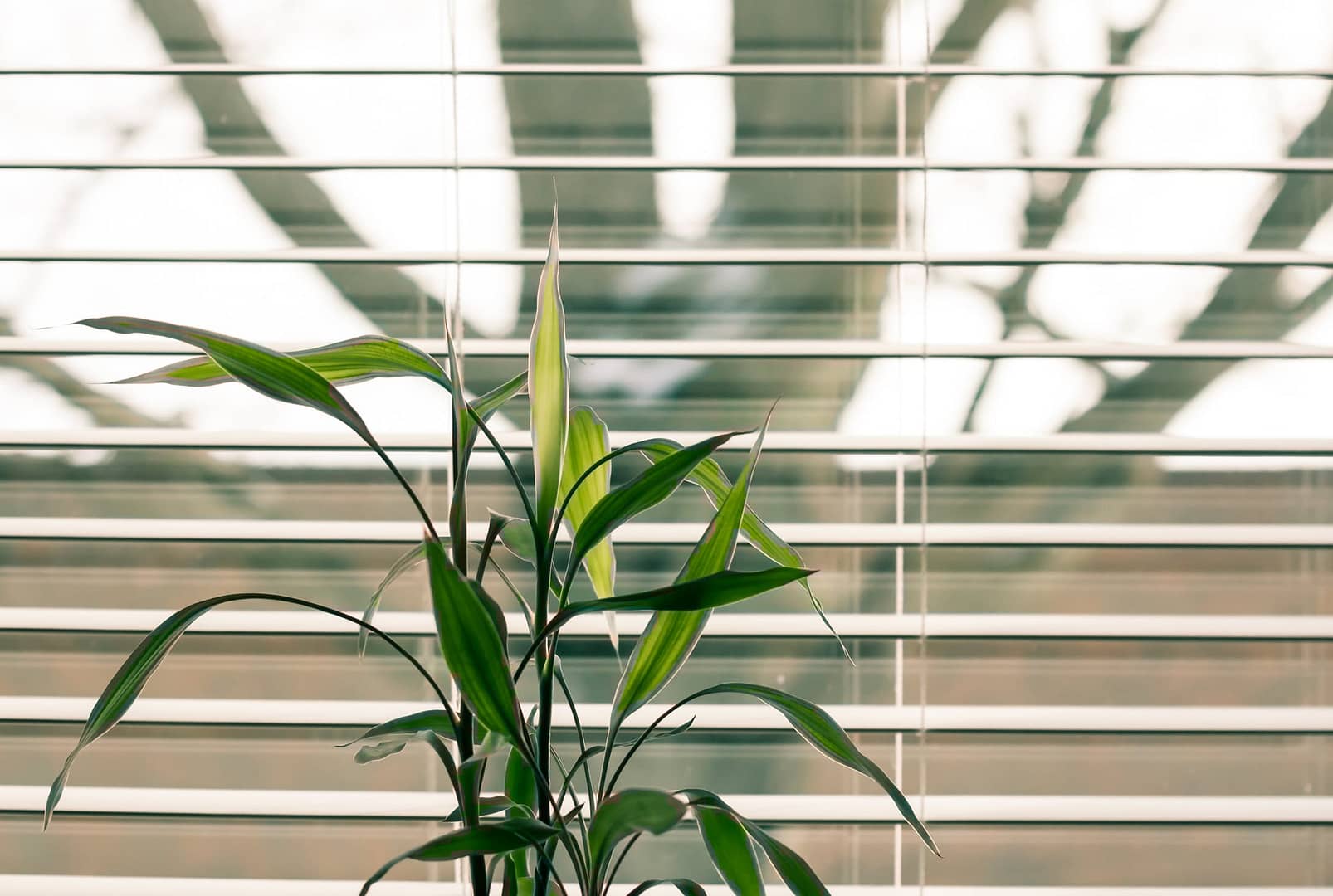 What Makes the Best Window Treatments
