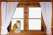 natural wooden window