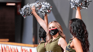 Atlanta Falcons