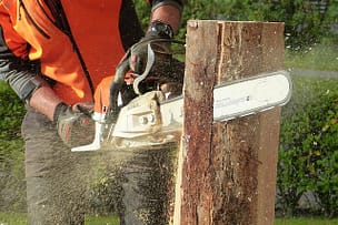 tree removal tool