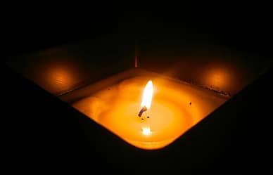 citronella